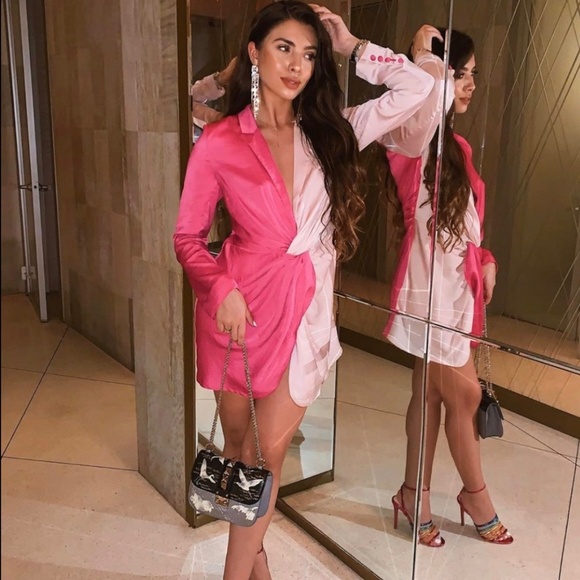 1154 NWT Choosy In a Mood Dress - Size 2 - Fuschia/Blush - Picture 5 of 16